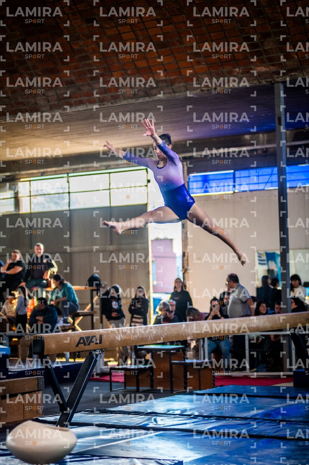 Gimnasia FUG - FUG-97-2.jpg
