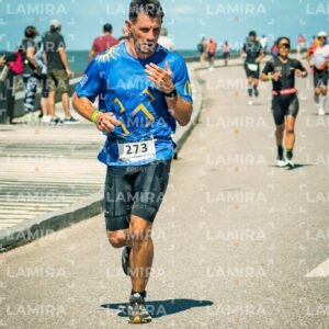 Ironman 70.3 - Dorsal 273