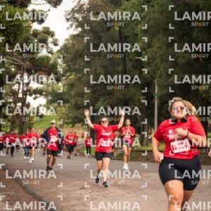 La carrera de todos - Dorsal 1996