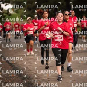 La carrera de todos - Dorsal 2026