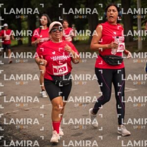 La carrera de todos - Dorsal 2026