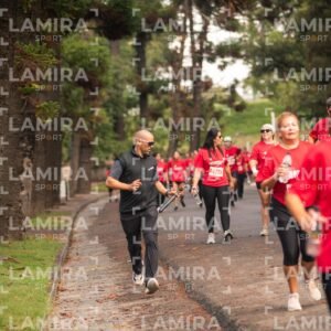 La carrera de todos - Dorsal 2008