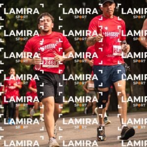 La carrera de todos - Dorsal 2493