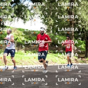 La carrera de todos - Dorsal 2446