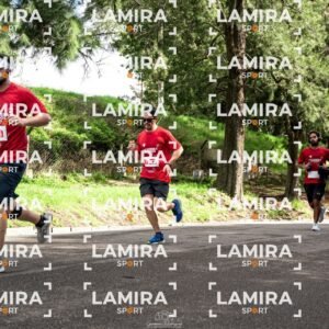 La carrera de todos - Dorsal 2446