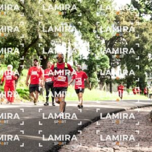 La carrera de todos - Dorsal 2465