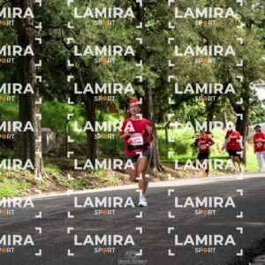 La carrera de todos - Dorsal 54050
