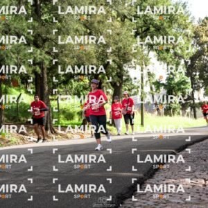 La carrera de todos - Dorsal 2050