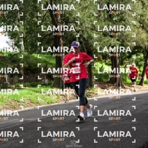 La carrera de todos - Dorsal 2050