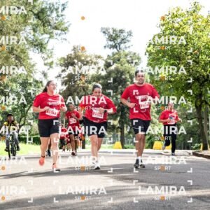 La carrera de todos - Dorsal 2561