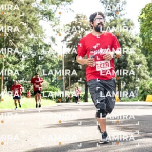 La carrera de todos - Dorsal 2482