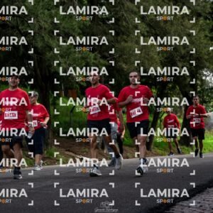 La carrera de todos - Dorsal 88451