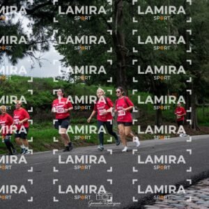 La carrera de todos - Dorsal 2768