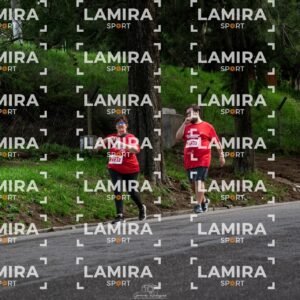 La carrera de todos - Dorsal 2731