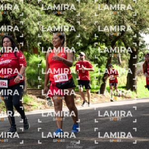 La carrera de todos - Dorsal 2026