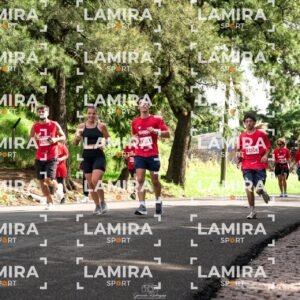 La carrera de todos - Dorsal 2406
