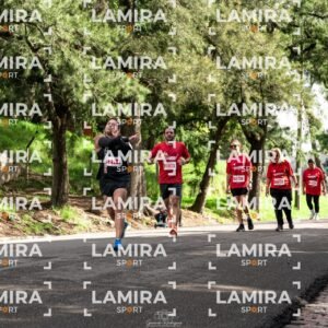 La carrera de todos - Dorsal 2539