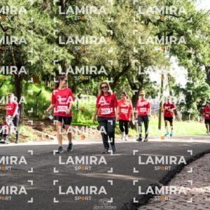 La carrera de todos - Dorsal 2539
