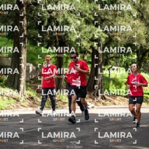 La carrera de todos - Dorsal 1239