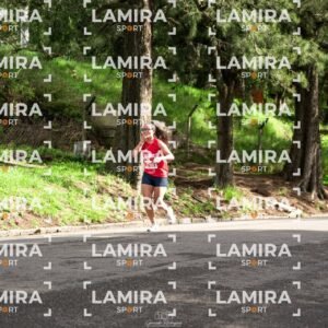 La carrera de todos - Dorsal 2708