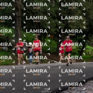 La carrera de todos - Dorsal 2790