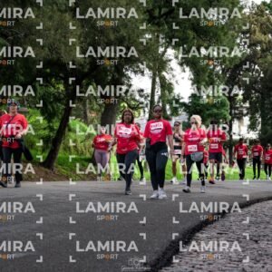 LA CARRERA DE TODOS - Dorsal 2739