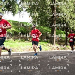 LA CARRERA DE TODOS - Dorsal 2446