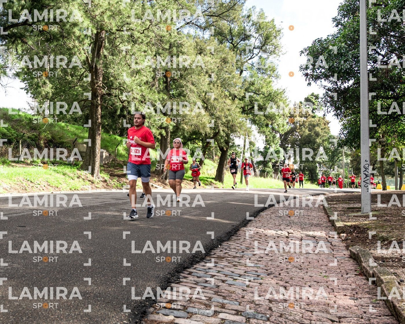 LA CARRERA DE TODOS - Teleton-2026-259.jpg