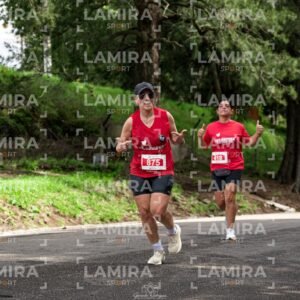 LA CARRERA DE TODOS - Dorsal 875