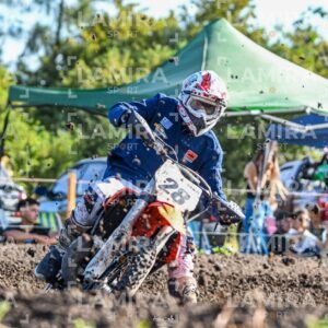 la escondida regional - Dorsal 28