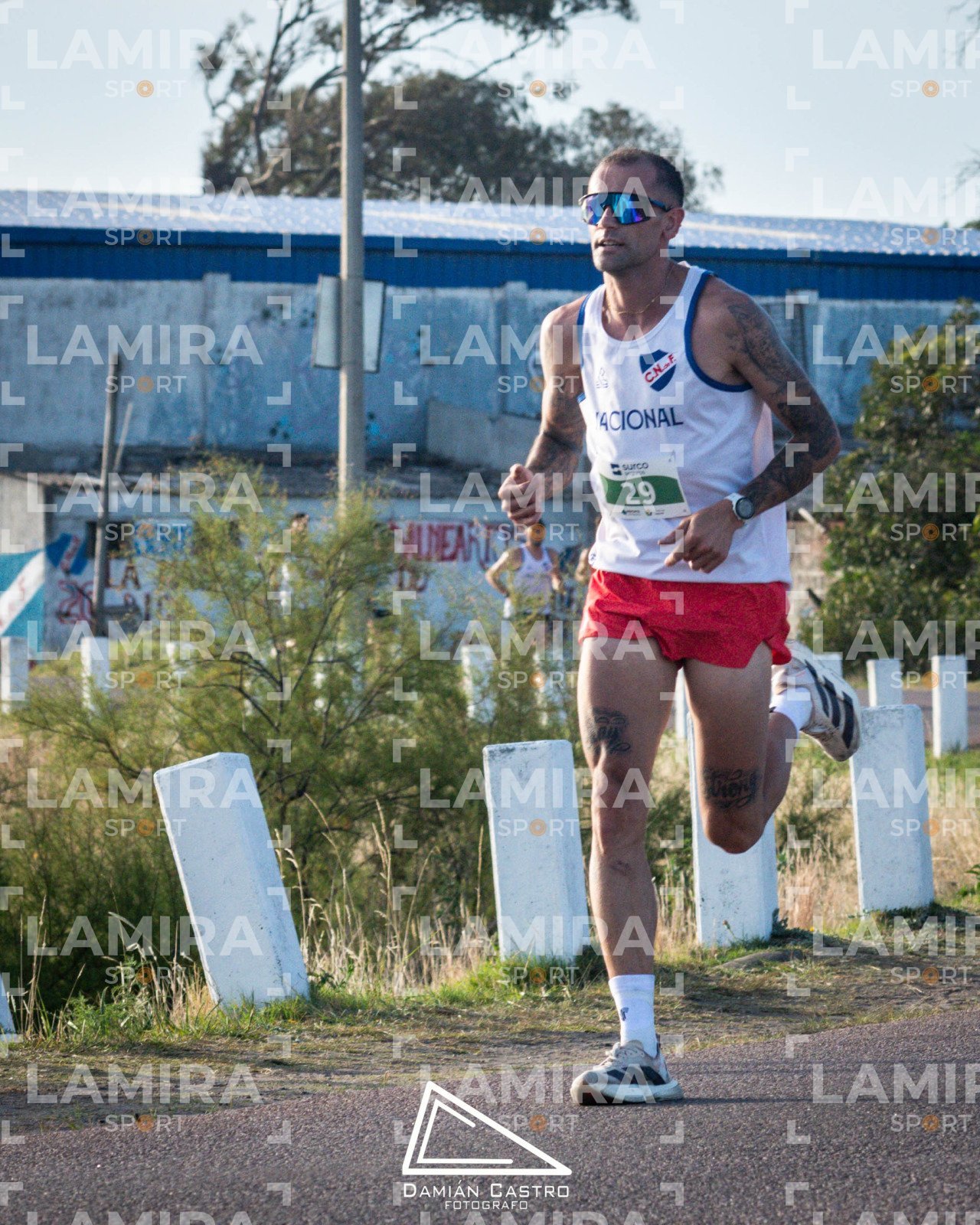 La floresta - Dorsal 154