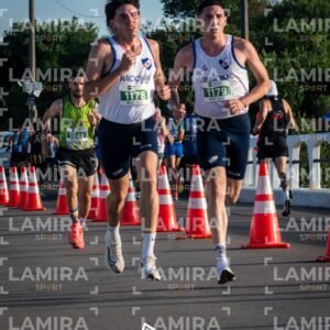 La floresta - Dorsal 1179