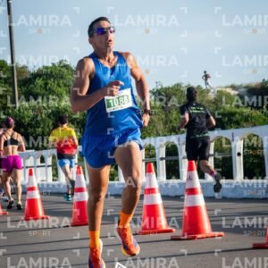 La floresta - Dorsal 1088