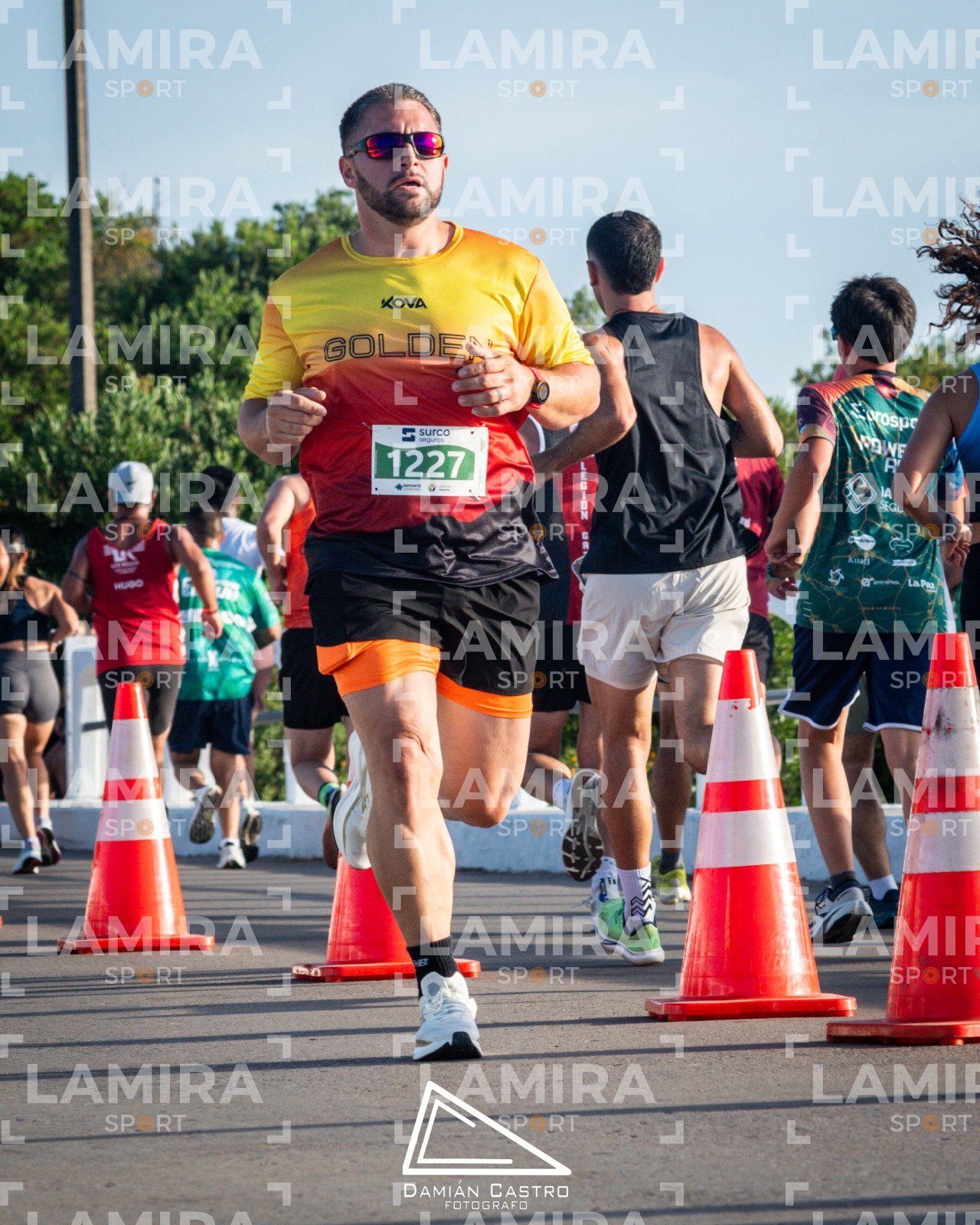 La floresta - Dorsal 1227