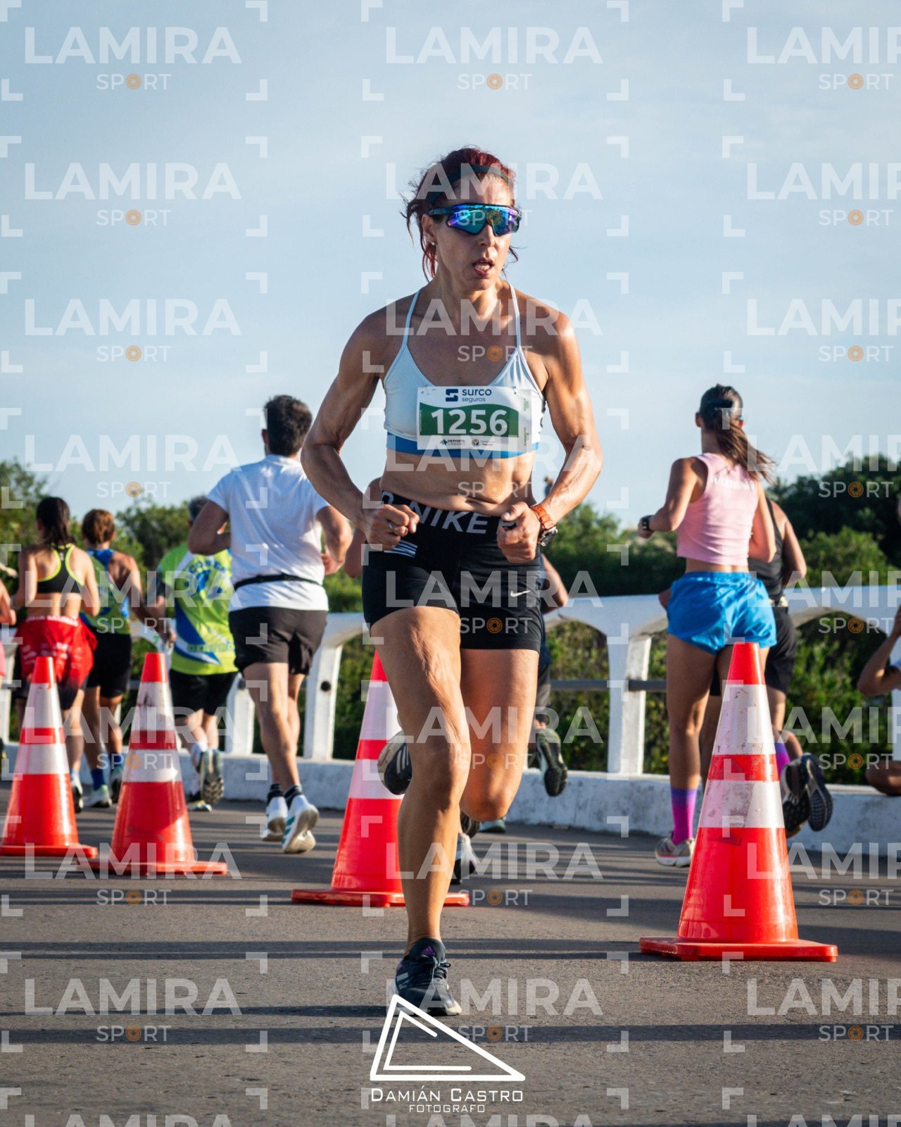 La floresta - Dorsal 1256