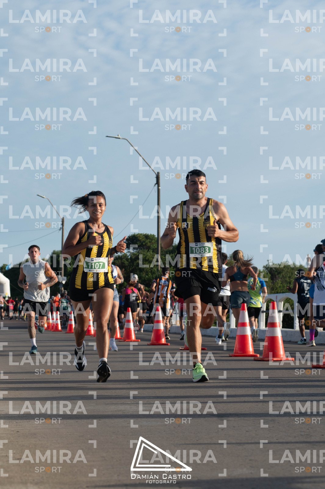 La floresta - Dorsal 1107