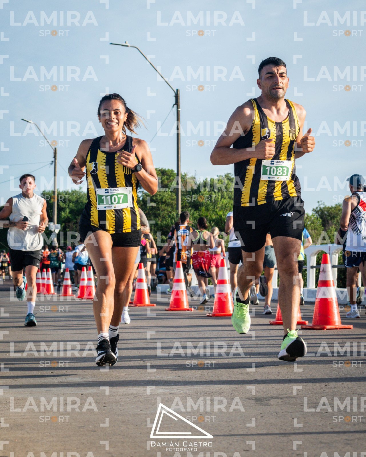 La floresta - Dorsal 1107