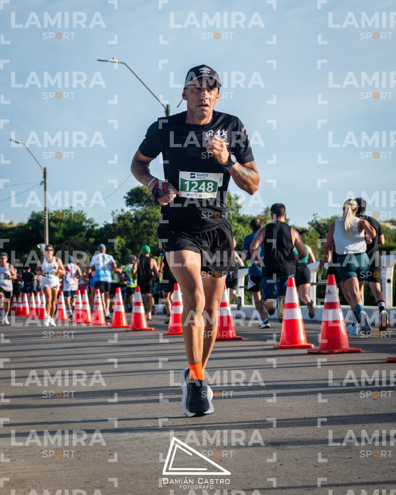 La floresta - Dorsal 1248