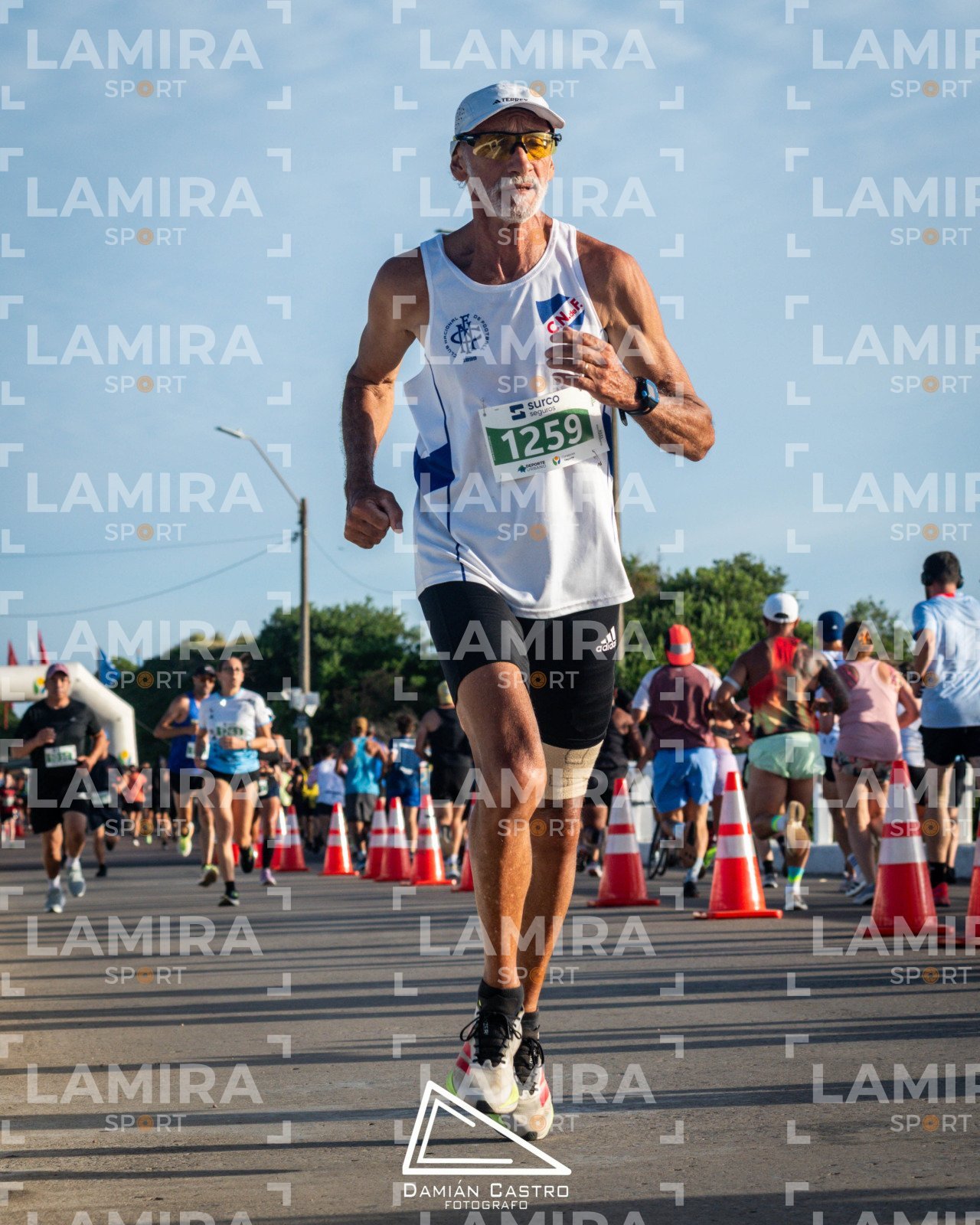 La floresta - Dorsal 1259