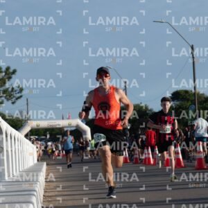 La floresta - Dorsal 1040