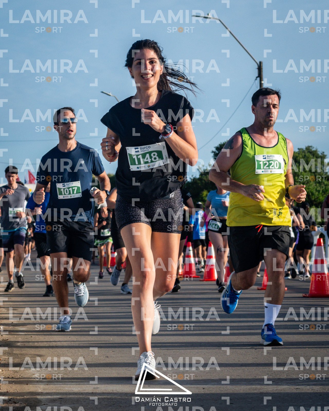 La floresta - Dorsal 1244