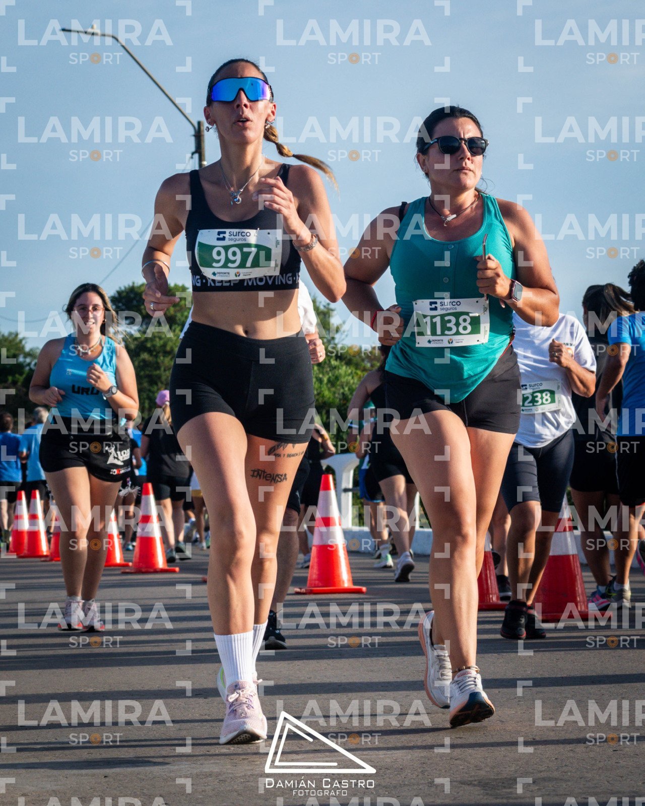 La floresta - Dorsal 1138