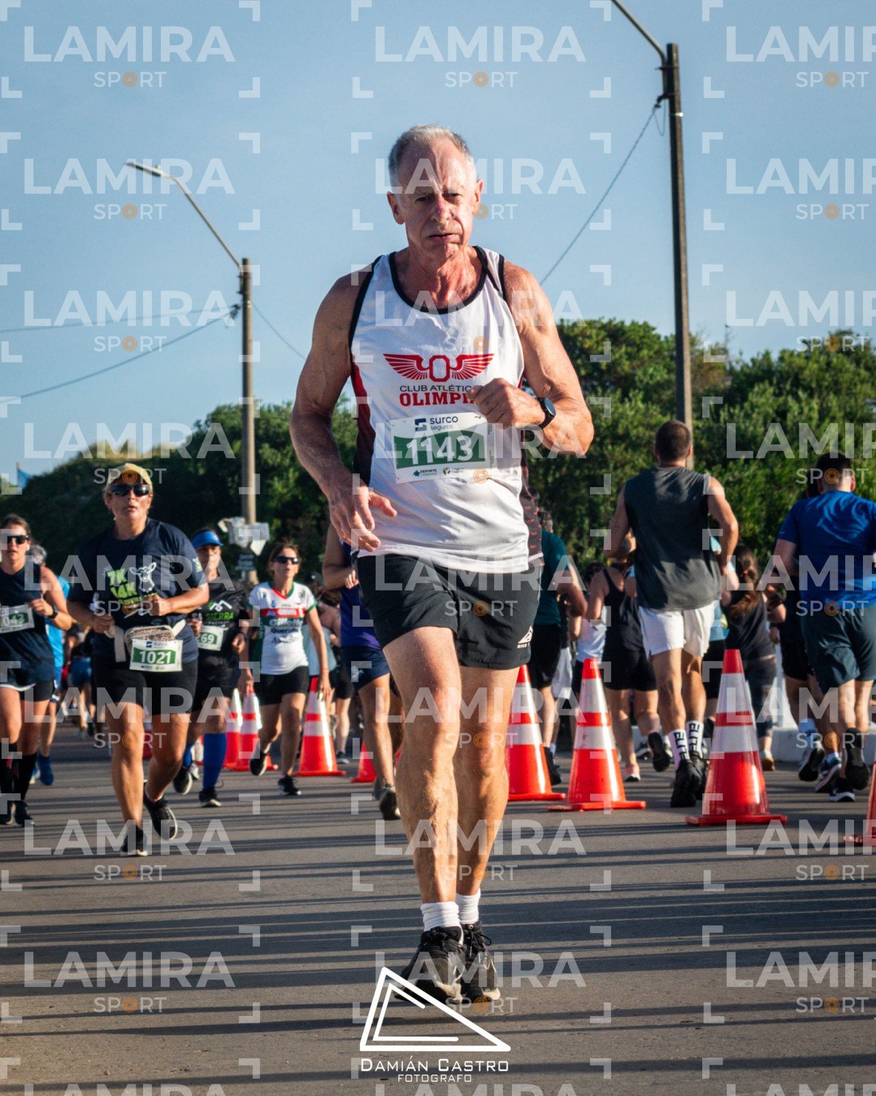 La floresta - Dorsal 1143