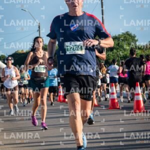 La floresta - Dorsal 1264