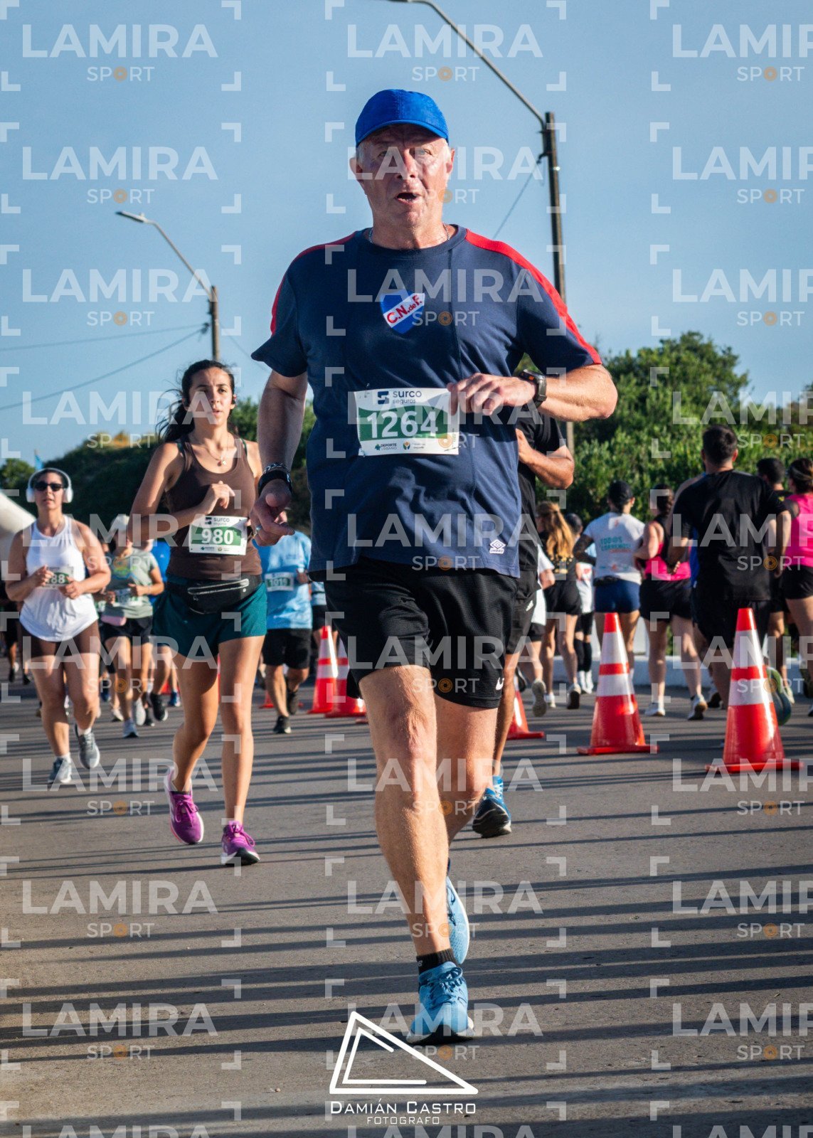 La floresta - Dorsal 1264