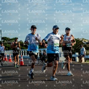 La Floresta - Dorsal 343