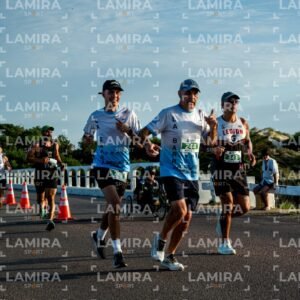 La Floresta - Dorsal 343