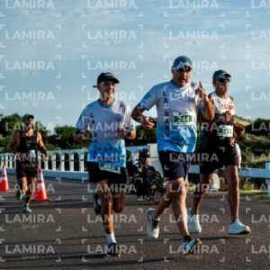 La Floresta - Dorsal 343