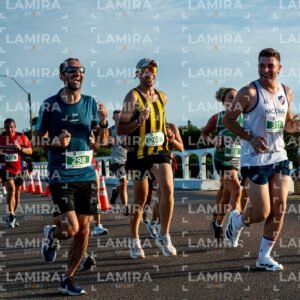 La Floresta - Dorsal 317