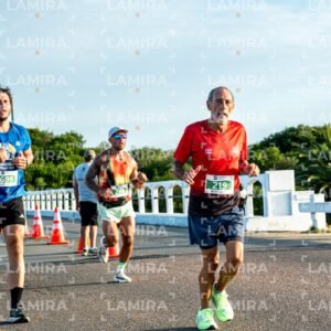 La Floresta - Dorsal 699